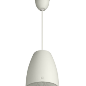 GŁOŚNIK WISZĄCY PE-154EN